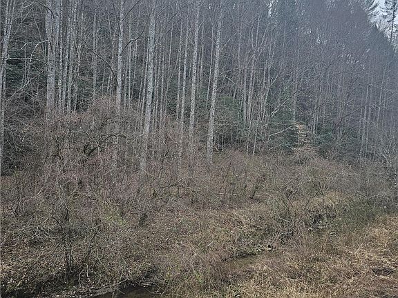 5th image of 0 Elk Creek Darby Road