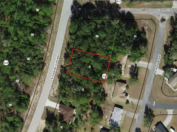 9613 N Country Club Way, Citrus Springs, FL 34434