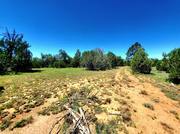 8571 Haven Crest Dr, Happy Jack, AZ 86024