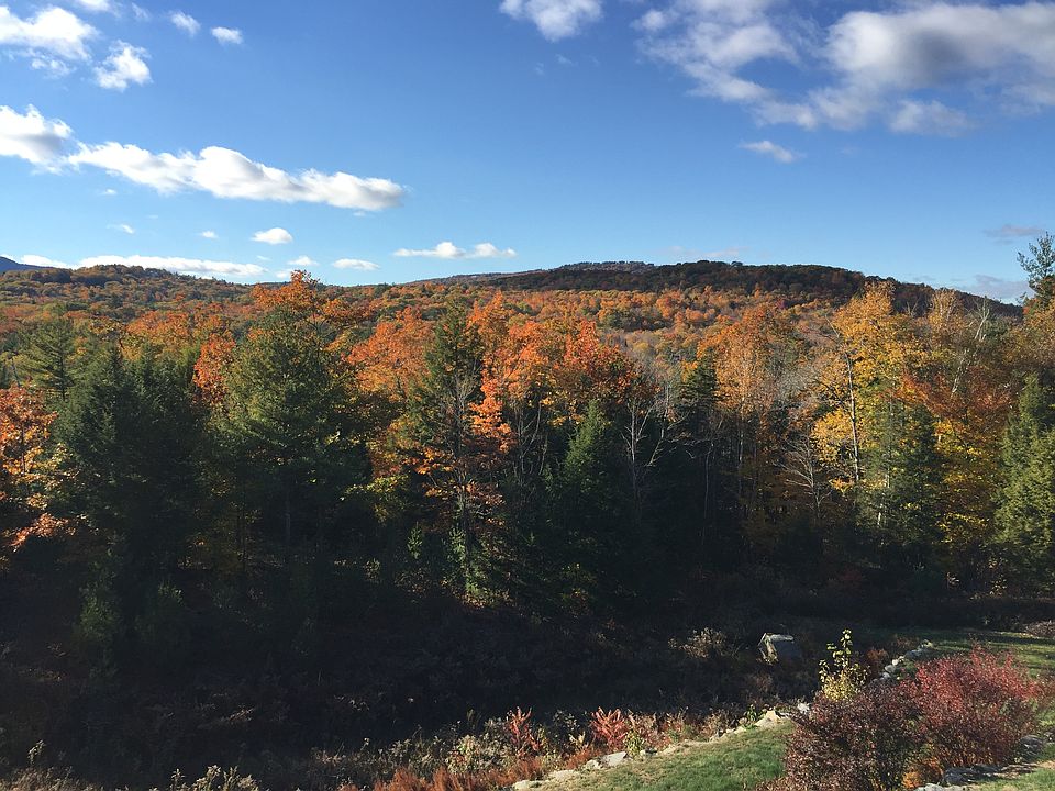 Fall colors in all direction