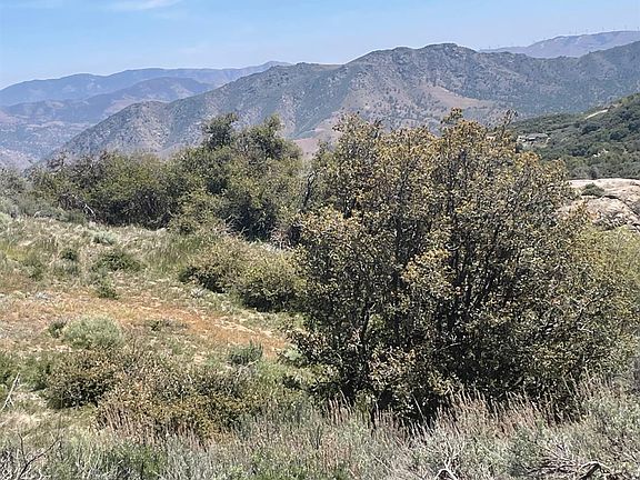 3rd image of 25260 Jacaranda Dr Lot 248