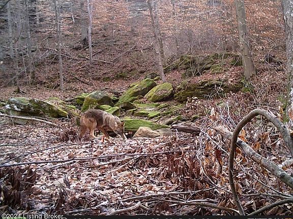 2nd image of 2409 Benleo Rd