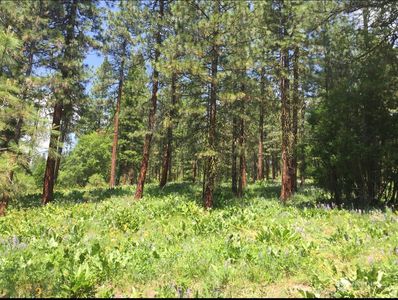 6390 Campbell Road, Peshastin, WA, 98847