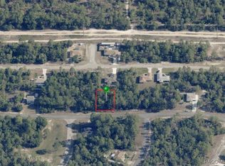 3271 W Montgomery Ln, Citrus Springs, FL 34433