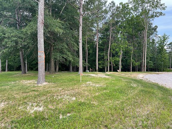2nd image of 55 Farmers Path Ct