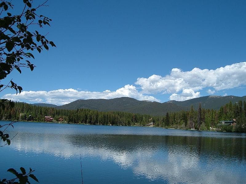 2nd image of Kinnikinnick