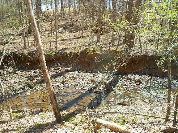 4th image of 2015 Winn Creek Dr