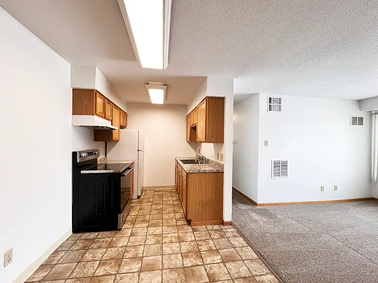 Viking Terrace Apartments — Photo 7