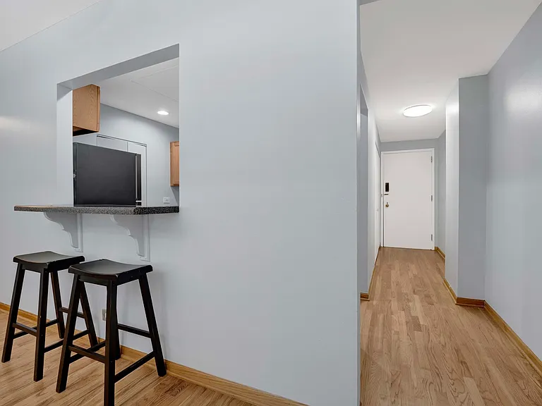 431 S Dearborn St #309 — Photo 12