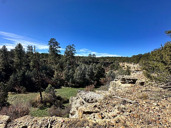 2nd image of Nsn Forest Rd #131-C