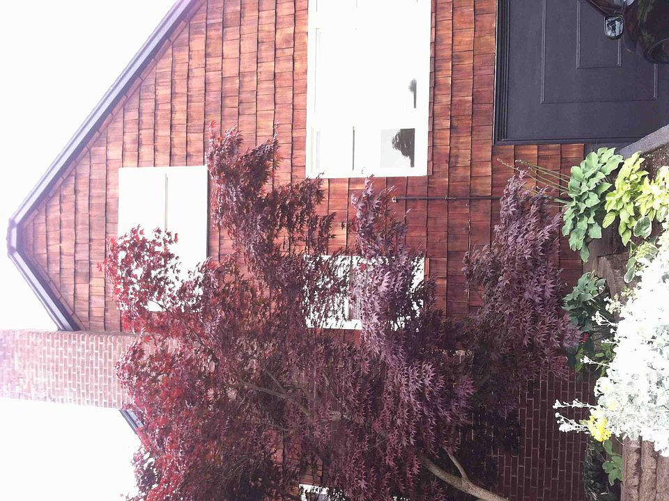 2nd image of 1918 NE 80th St