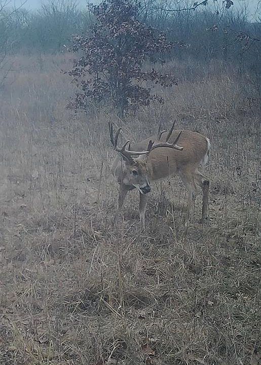 1st image of 0 N 3875th Rd