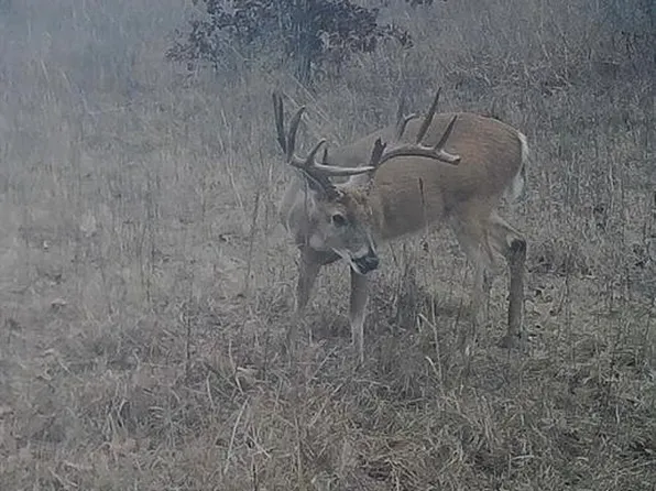 0 N 3875th Rd, Dustin, OK 74839