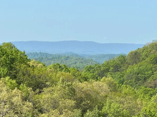 0 Black Valley Rd, Sneedville, TN 37869