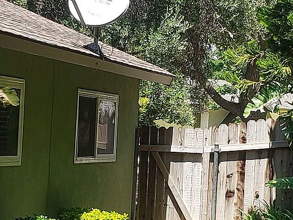 3rd image of 1142 Loma Sola Ave