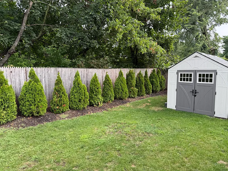 11 Mara Rd #2 — Photo 11