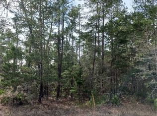 9 Dianthus Ct, Homosassa, FL 34446