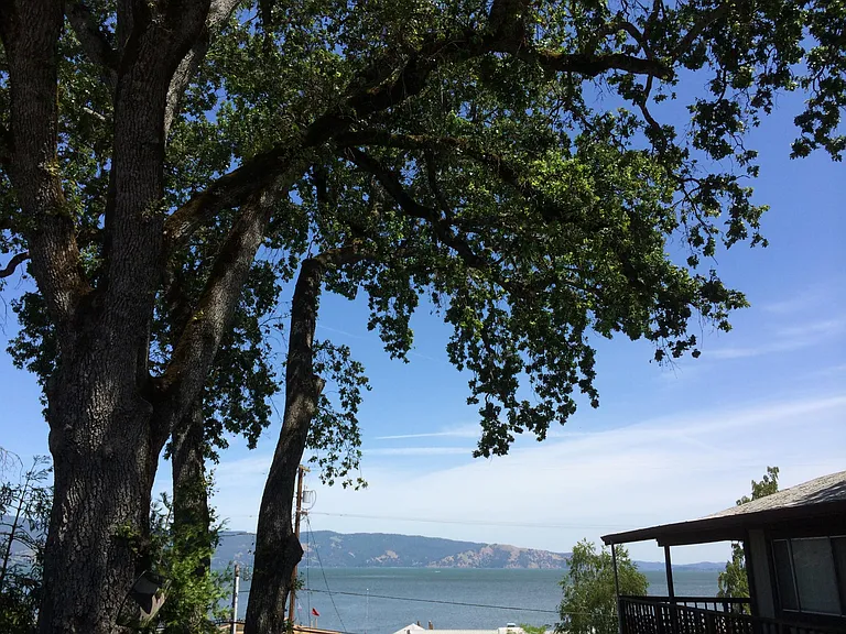 Lakeshore Blvd — Photo 2