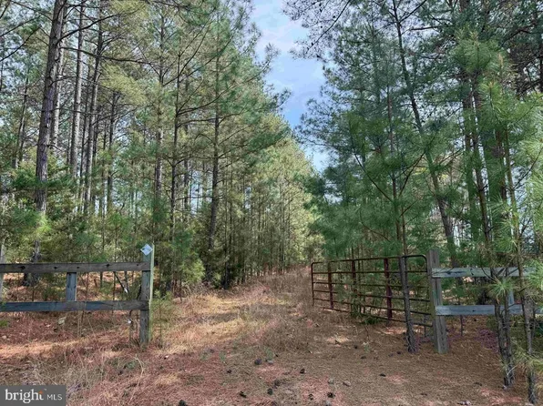Bearskin Rd #A-1, Chatham, VA 24531