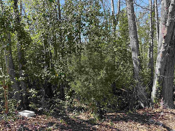 3rd image of 9 Allen St