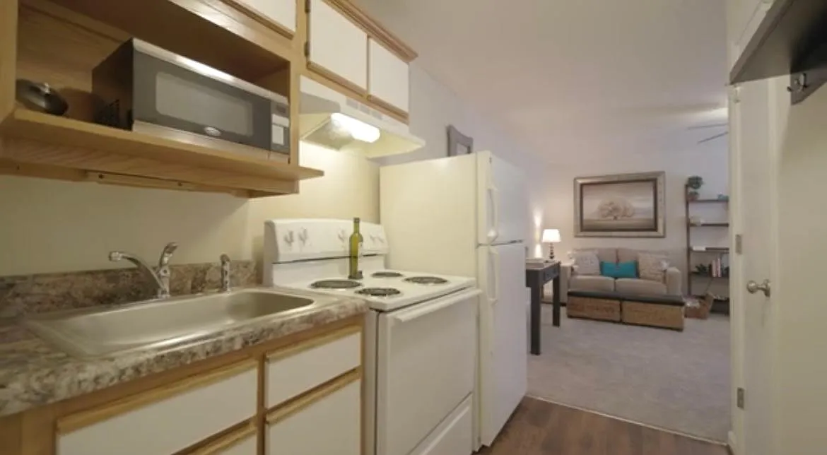 Studio, 390 sqft, $800 — Photo 4