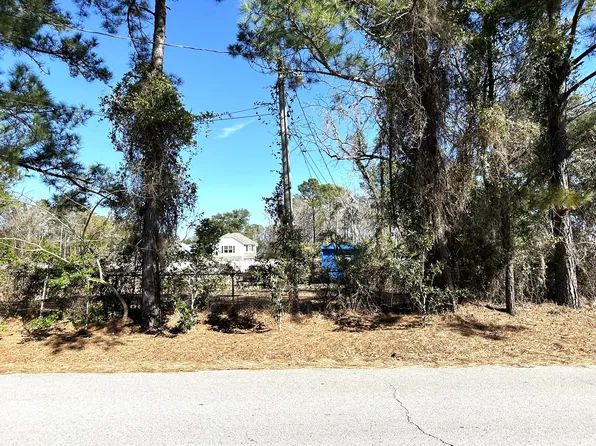 1096 Bee Hive Rd, Awendaw, SC 29429