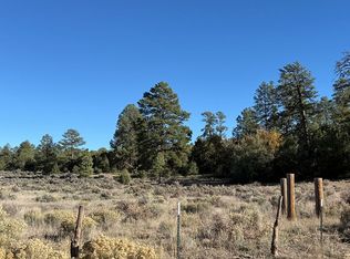 161 R Chavez Rd #A, Vanderwagen, NM 87326