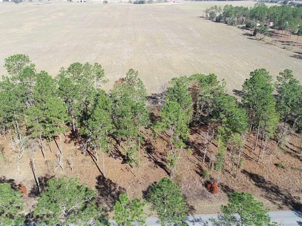 LOT 13 NE Falcon Ave Lot 13, Dunnellon, FL 34431