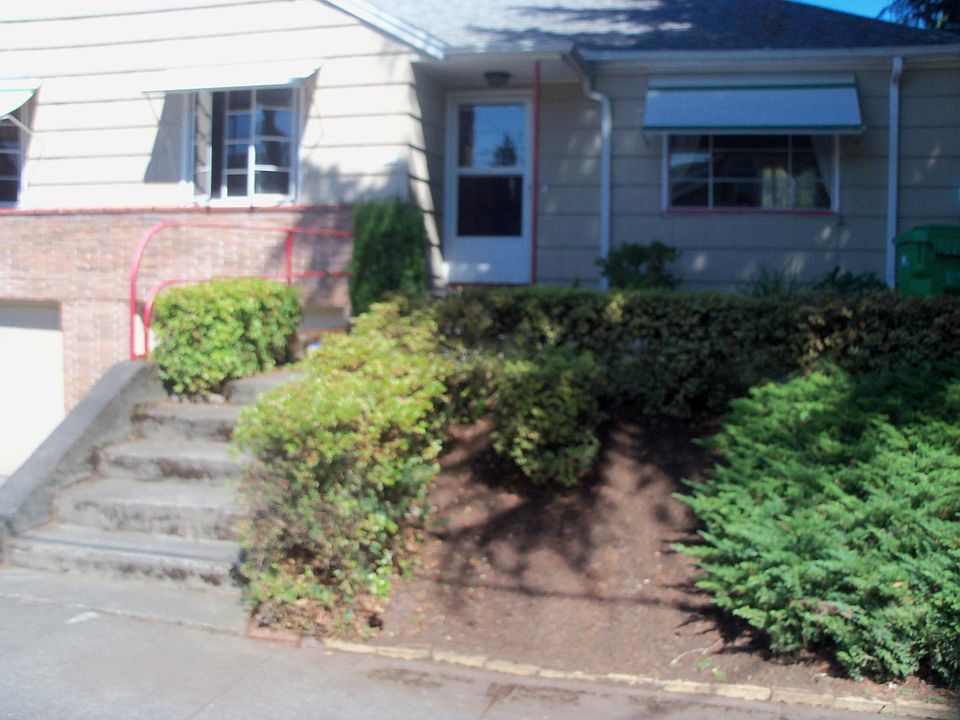 front yard