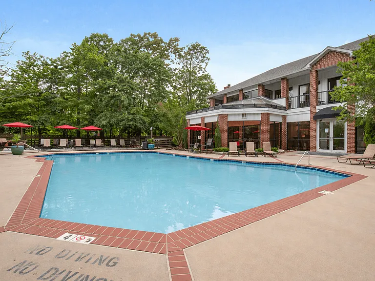 Pool Side Relaxing Area Surrounded by Trees