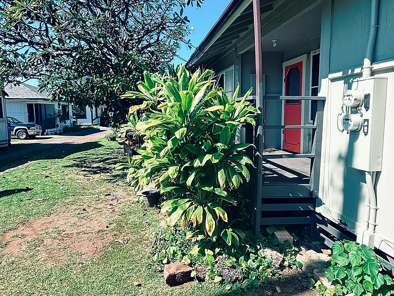 Front yard and entry
