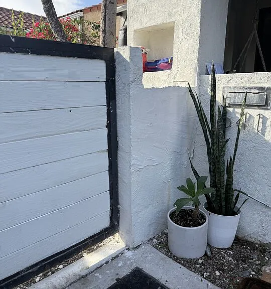 N Vis — Photo 27
