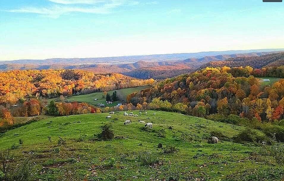 10692 Leonard Cordova Rd, Renick, WV 24966 Zillow