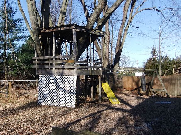 Backyard with Treehouse