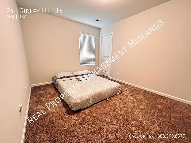241 Ridley Hill Ln — Photo 20
