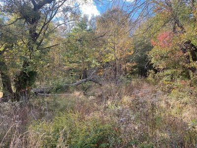 0 Ann Dr, Murchison, TX, 75778