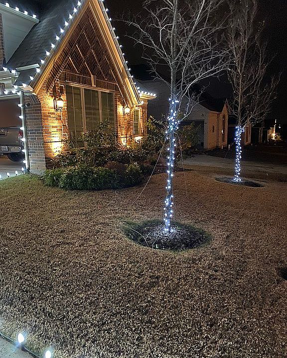 2nd image of 2829 Adon Springs Ln
