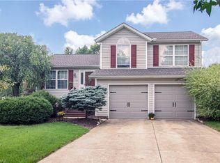 1141 Mallet Hill Ct, Medina, OH