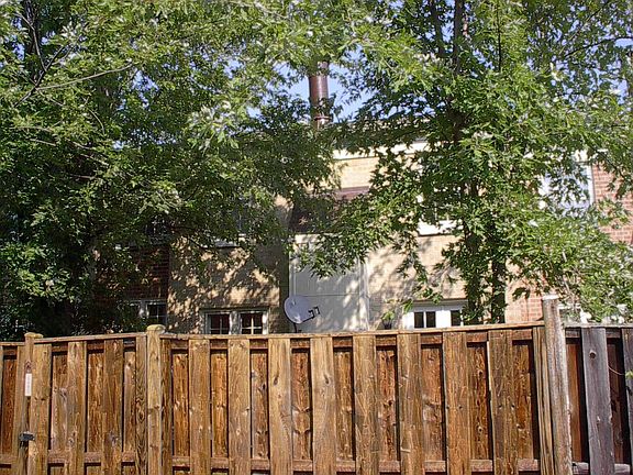 Mature Trees for Shade and Sun