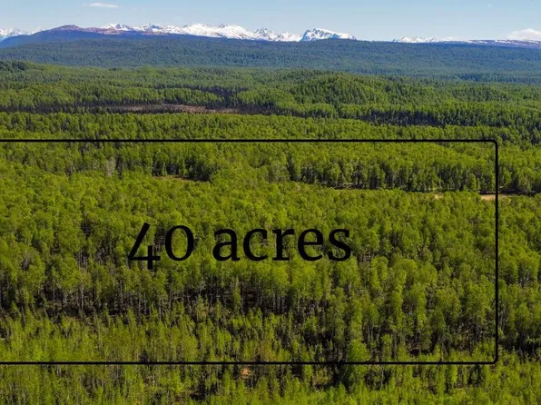 Nhn No Road Name, Willow, AK 99688