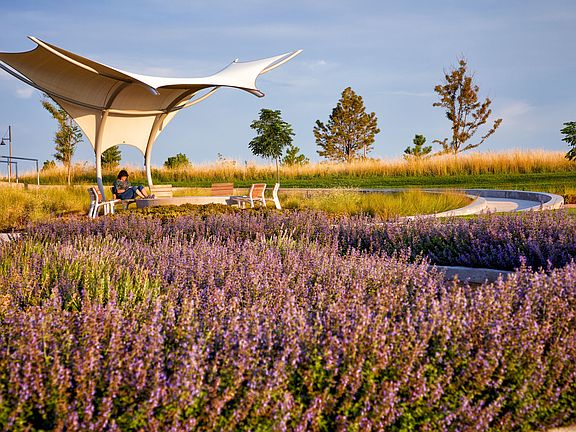 Red Tail Sail at High Prairie Park