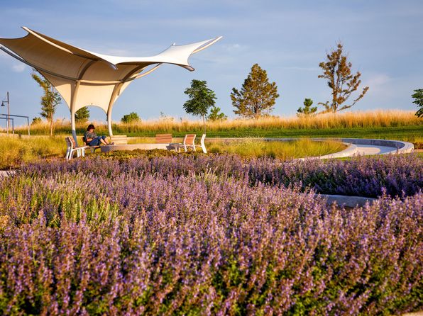 aurora-colorado-343113779 picture