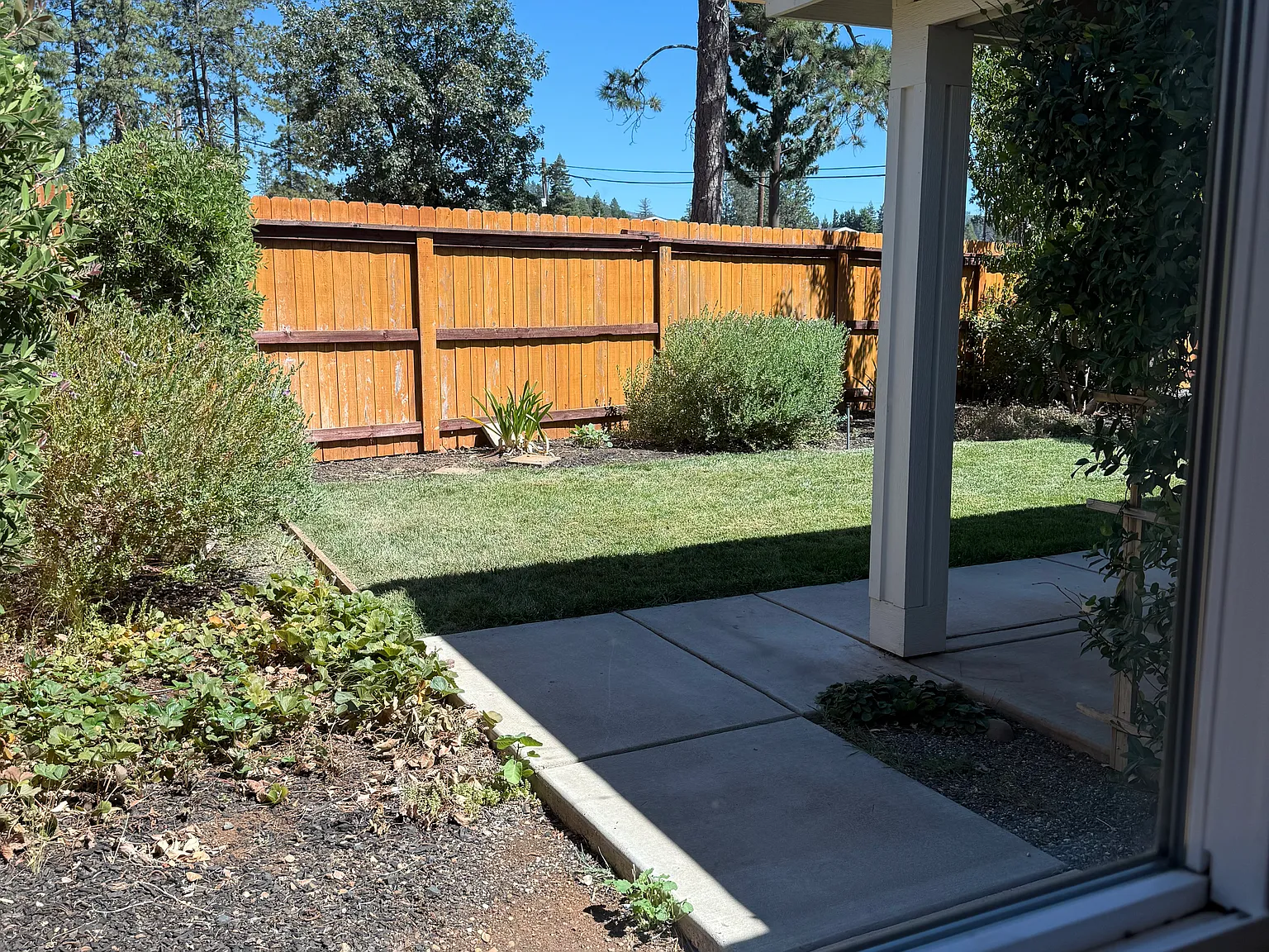 1 bed, 1100 sqft, $1,500 — Photo 3