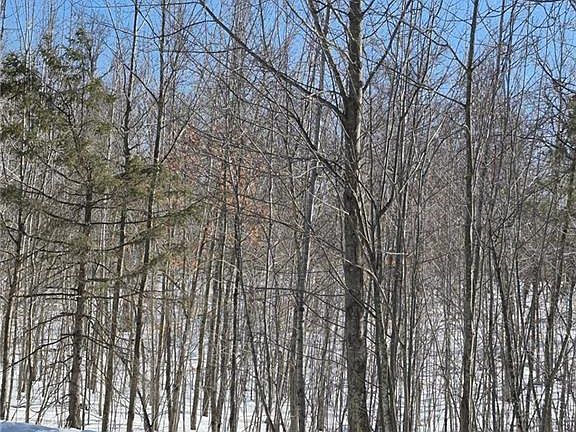 2nd image of Lots 10 & 11 Wintergreen Trail