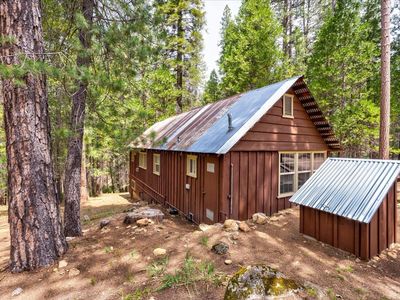 7915 Koon Hollar Rd, Wawona, CA, 95389