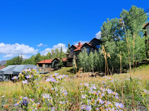 402 Adams Ranch Rd #D, Telluride, CO 81435