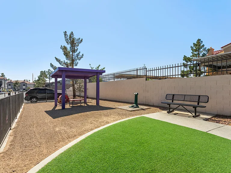 Dog Park
