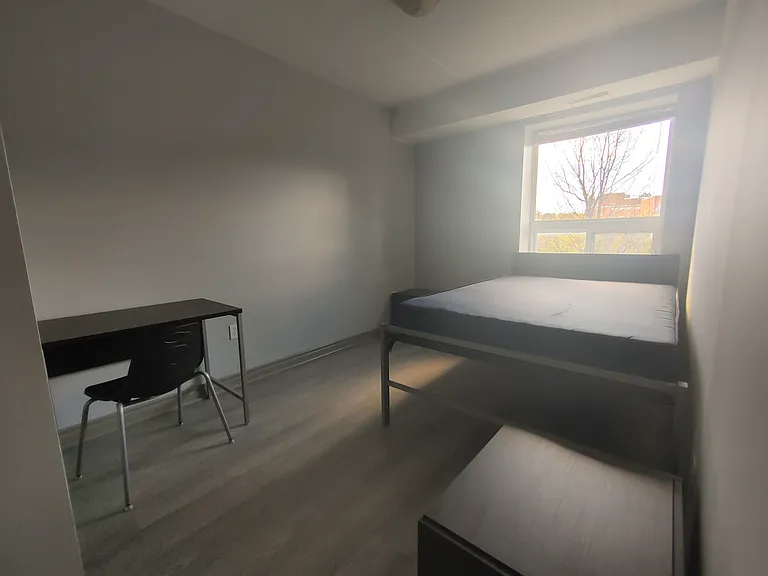 325 Spruce St — Photo 12