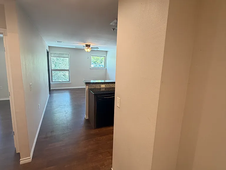 305 W Willis St #202 — Photo 7