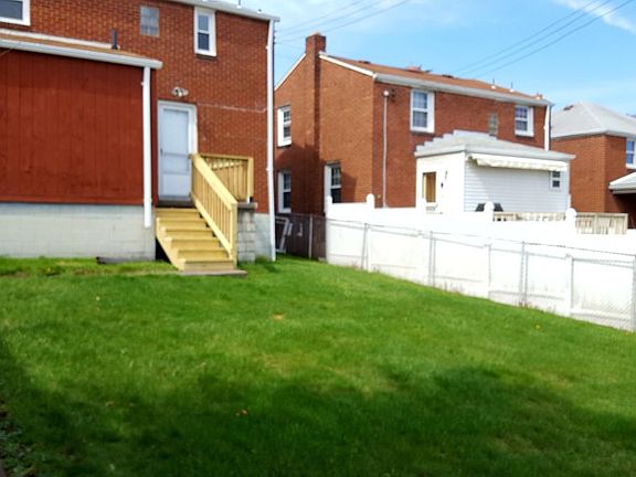 Back yard